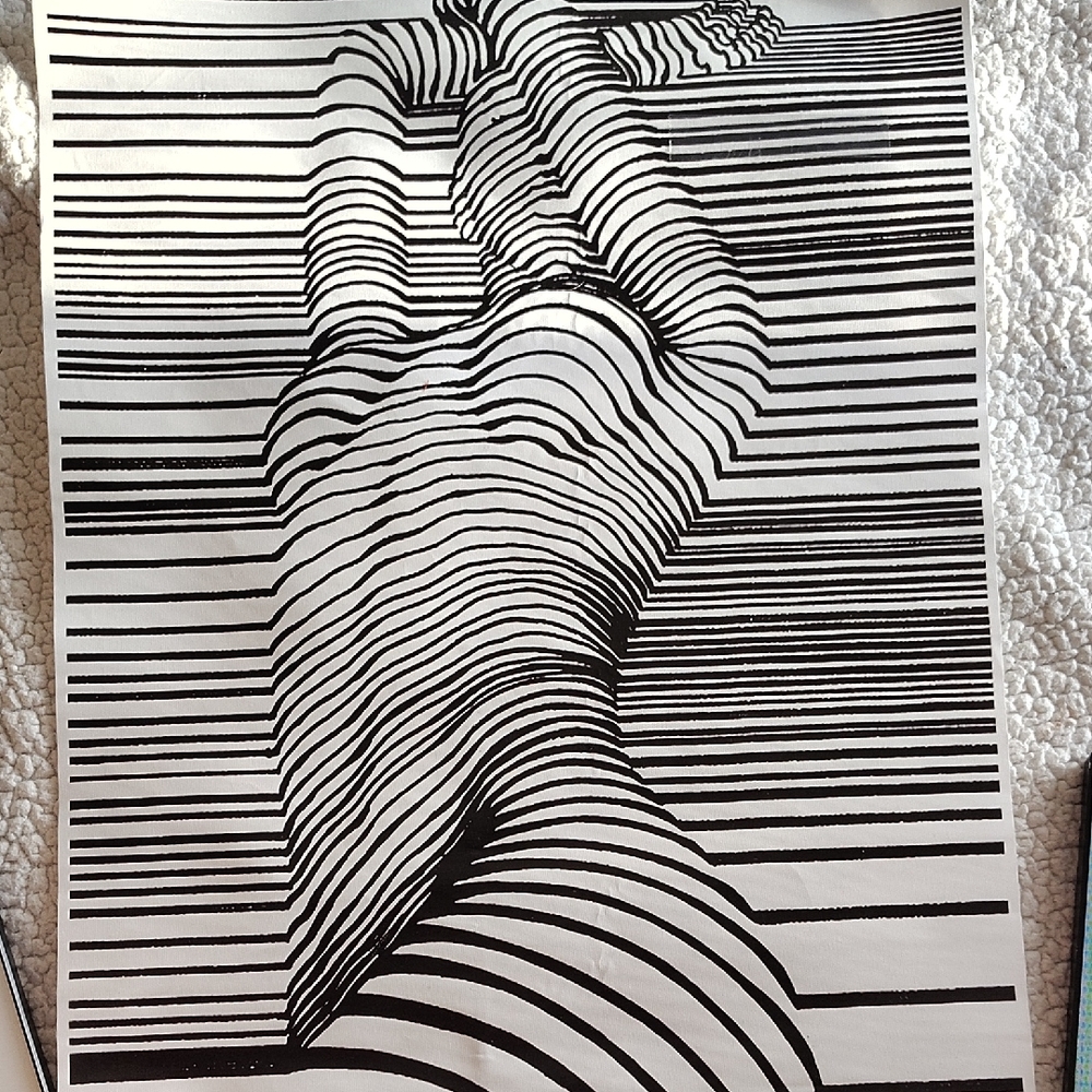 Erotic Abstract Black and White Line Art Print 3D